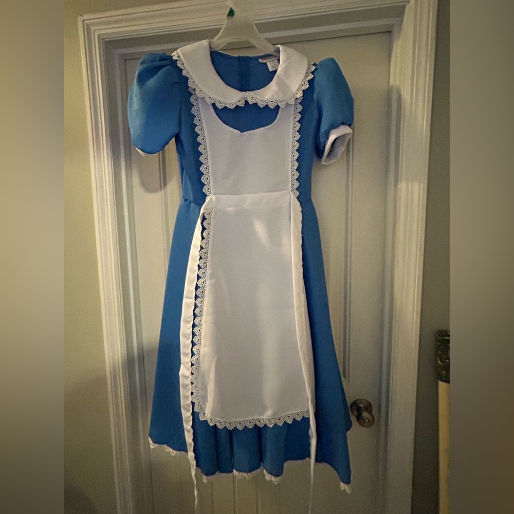 Alice in Wonderland Costume